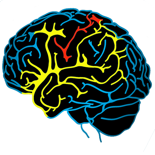 Train Your Brain icon