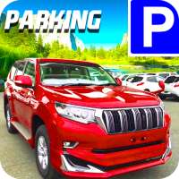 Modern Multi Level Reverse LX Car Parking