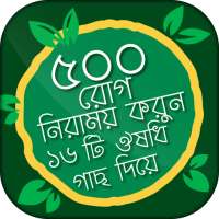 ৫০০ রোগ নিরাময় করুন ১৬ টি ঔষধি গাছ দিয়ে