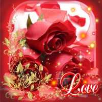 Love Roses Theme live wallpapar