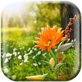 Spring Nature Live Wallpaper icon