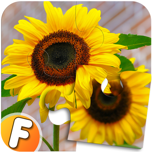 Fluzzles - Puzzle Game for Android आइकन