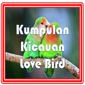 Suara Kicauan Love Bird icon