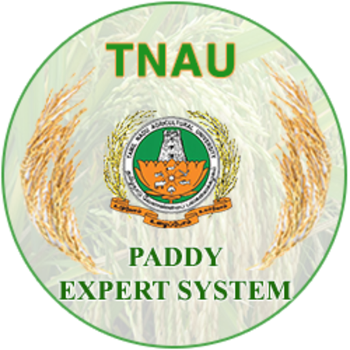 Paddy Expert System icon