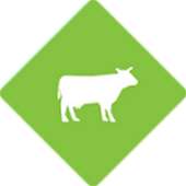 My LiveStock Management