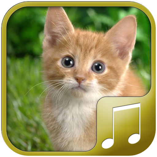 Cat Sounds icon