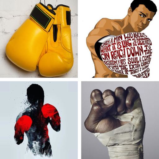 Boxing HD Wallpapers icon