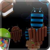 Photo Stream Live Wallpaper icon