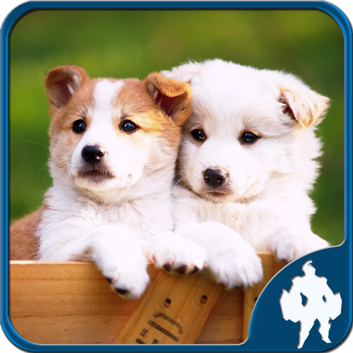 Dogs Jigsaw Puzzles icon