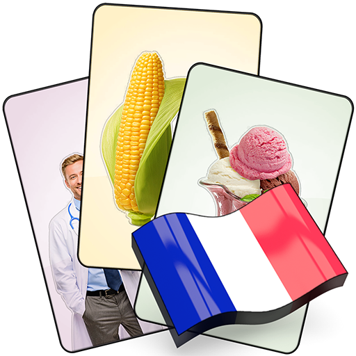 French Flash Cards with 408 Cards for Learning icon