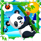 Panda hero icon