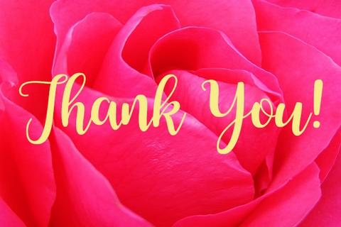 Thank You Cards screenshot 8