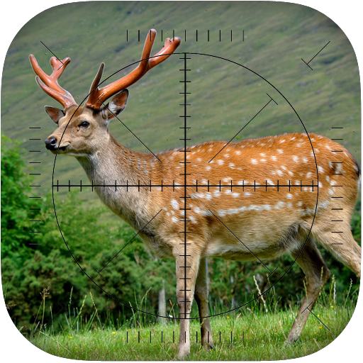 Deer Sniper: Hunting Game icon
