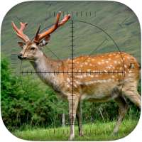 Deer Sniper: Hunting Game on 9Apps