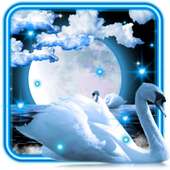 Schwäne Mond Nacht Lebe Tapete on 9Apps