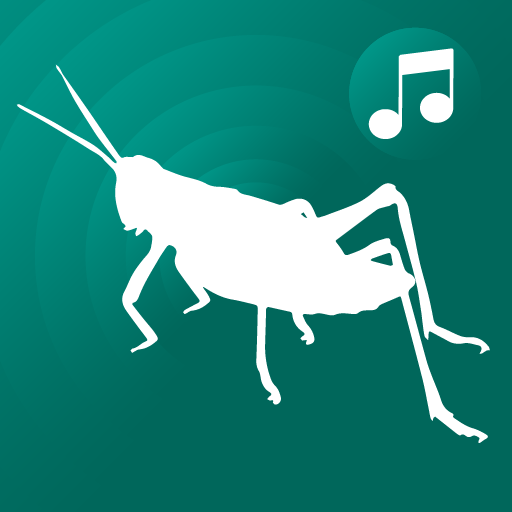 ringtones crickets for phone icon