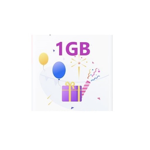 1GB icon