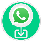 WhatsApp Story icon