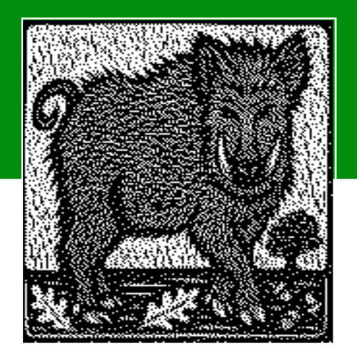 ikon NonogramPicture No.4