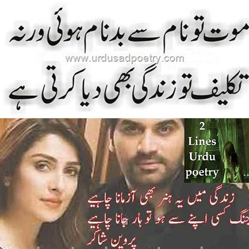 Two Lines Urdu Poetry icon