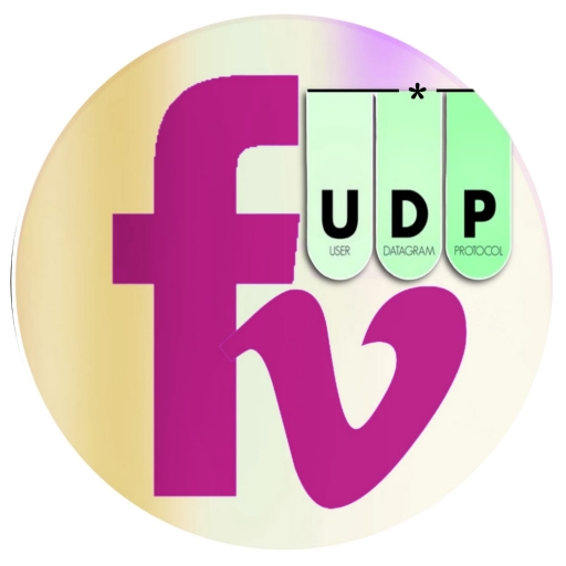 FRIENDS VPN UDP icon