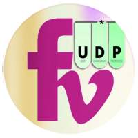 FRIENDS VPN UDP