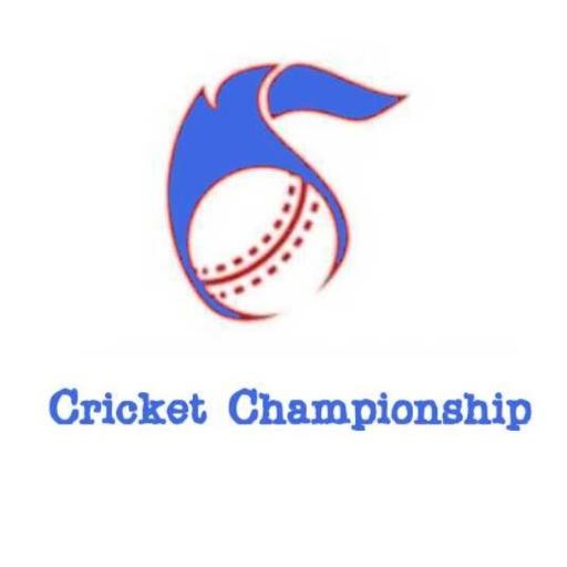 New Cricket Champions League Games Guide For 2020 أيقونة