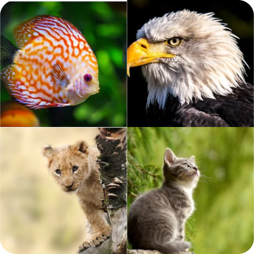 Tebak Gambar Hewan icon