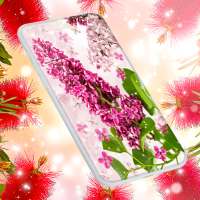 Spring Flower Live Wallpaper on 9Apps