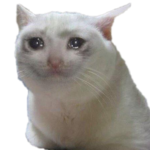 New Cat Memes Stickers For WhatsApp WAStickerApps icon