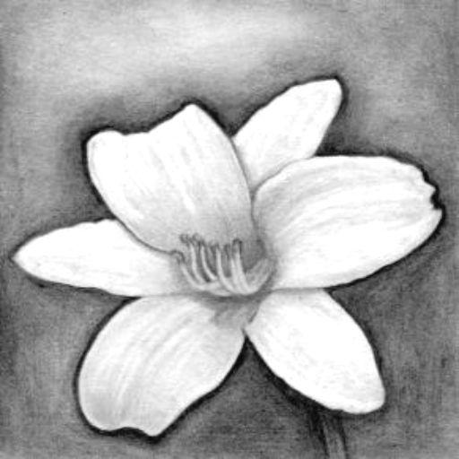 drawing technique icon