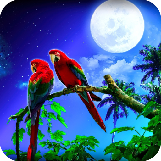 Parrot HD Wallpaper icon