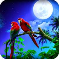 Parrot HD Wallpaper on 9Apps
