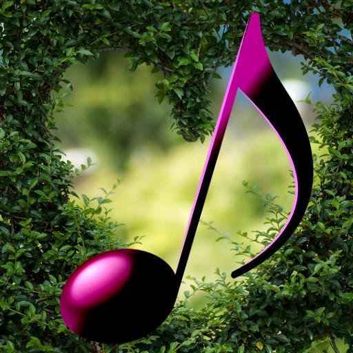 Romantic Classical Music icon