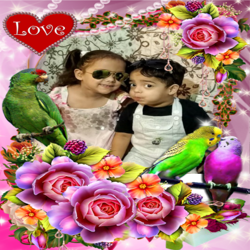 Bird Photo Frames Editor: DP, Quotes, Greeting icon