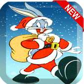 Rabbit Toons Dash : Looney Rush Adventure