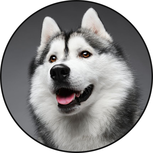 เสียงสุนัขไซบีเรียน ฮัสกี้ icon