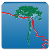 XXX Cong Bras de Neurocirurgia icon
