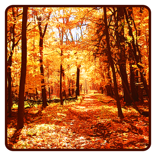 Herbst wallpaper icon