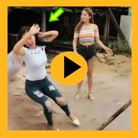 Funny Videos