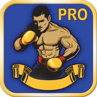 Learn boxing training - techniques