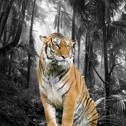 Photo Splash Maker icon