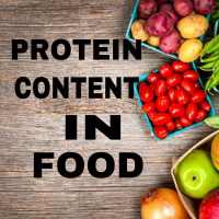 PROTEIN CONTENT IN FOOD on 9Apps