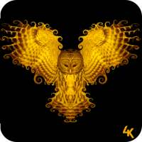 Golden Wallpaper (4k) on 9Apps