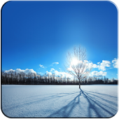 Wallpapers for Asus phones أيقونة