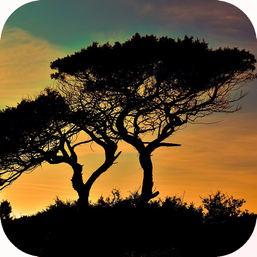 Nature Wallpaper icon