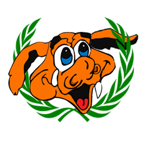 Football Runner icon