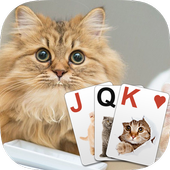 Solitaire Lovely Cats icon