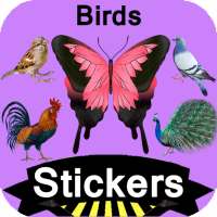 Birds Stickers