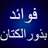 فوائد بذور الكتان on 9Apps